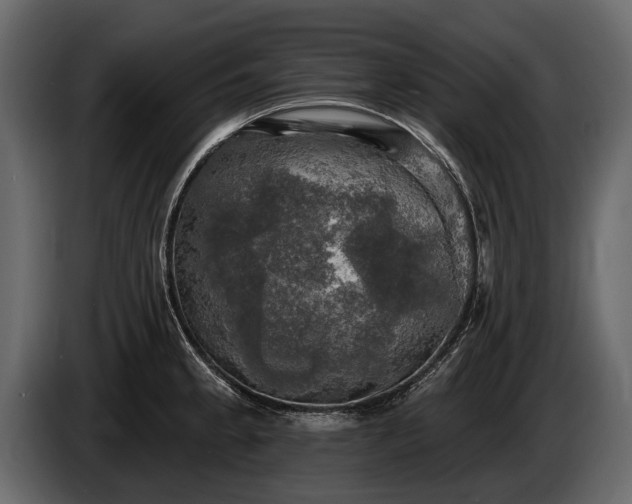 X0000085771189200703231216