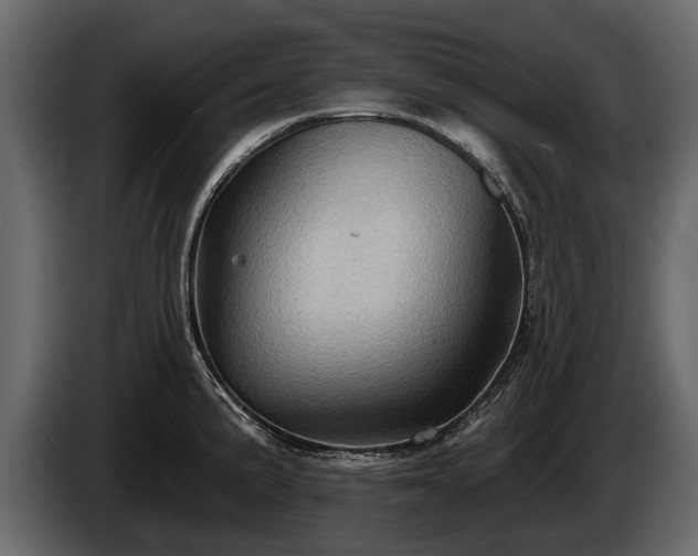 X0000085771191200703231216