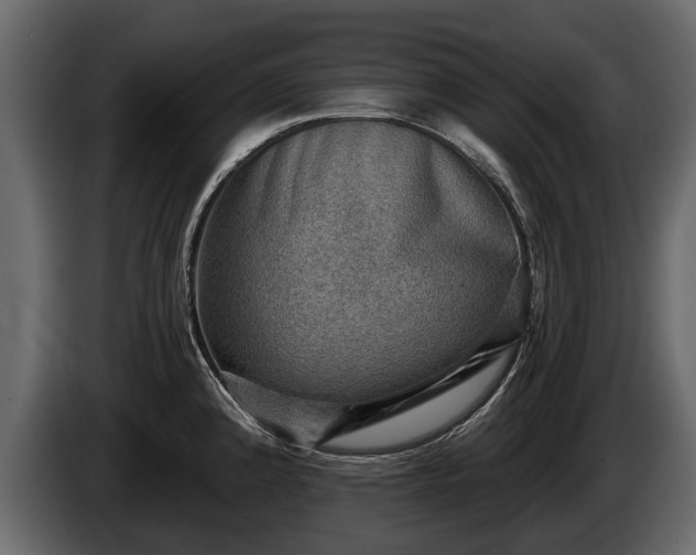 X0000085771192200703231216