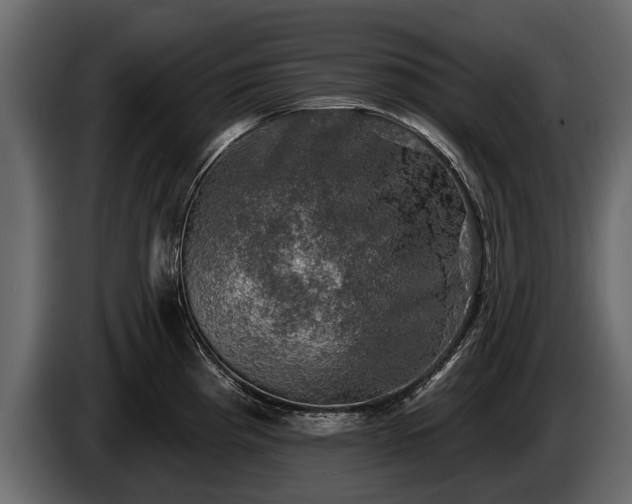 X0000085771193200703231216