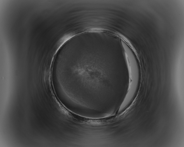 X0000085771194200703231216