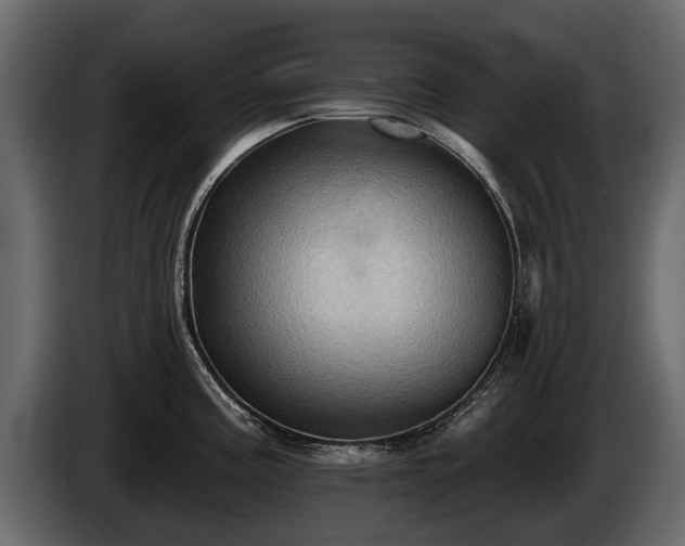 X0000085771195200703231216