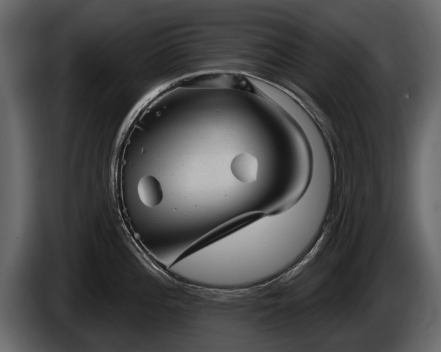 X0000085771196200703231216