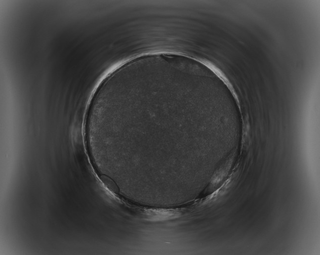 X0000085771197200703231216