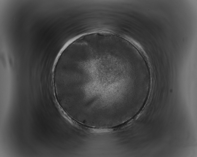 X0000085771200200703231216