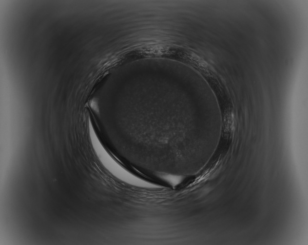 X0000085771202200703231216