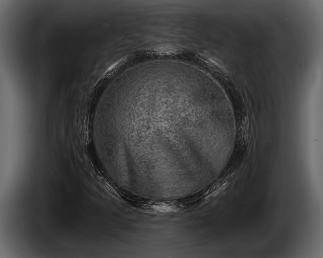 X0000085771205200703231216