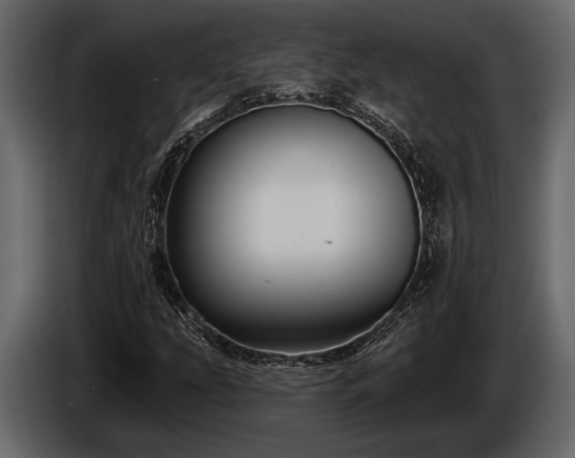 X0000085771207200703231216