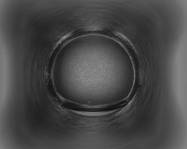 X0000085771210200703231216