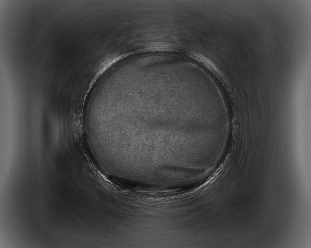 X0000085771212200703231216