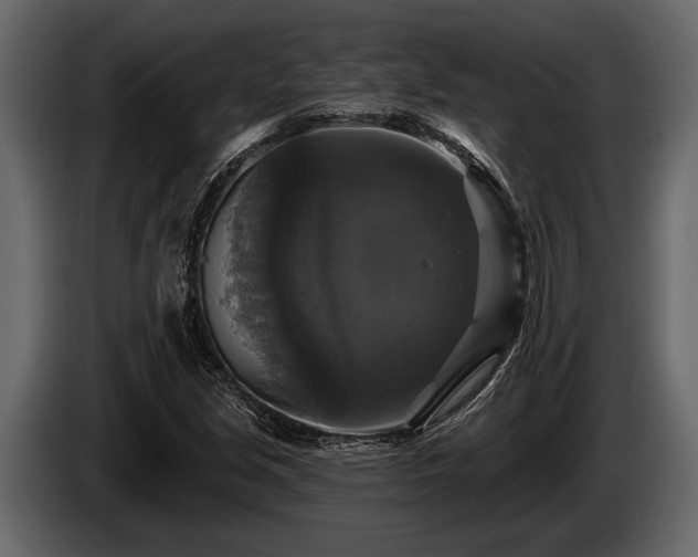 X0000085771213200703231216