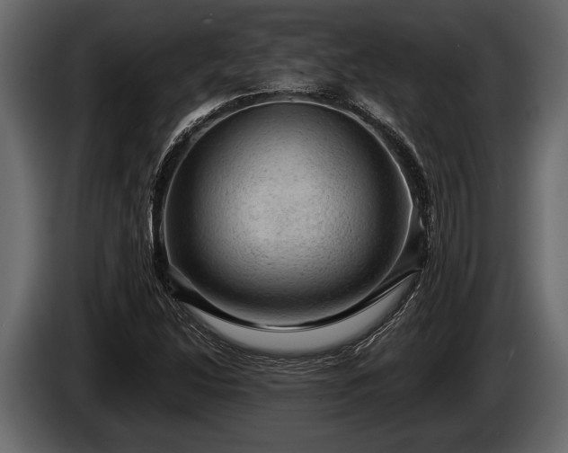 X0000085771214200703231216