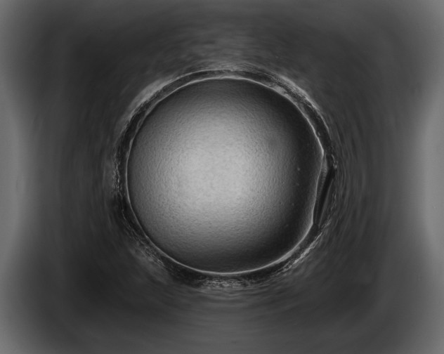 X0000085771215200703231216