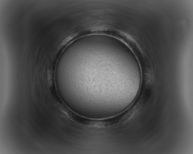 X0000085771217200703231216