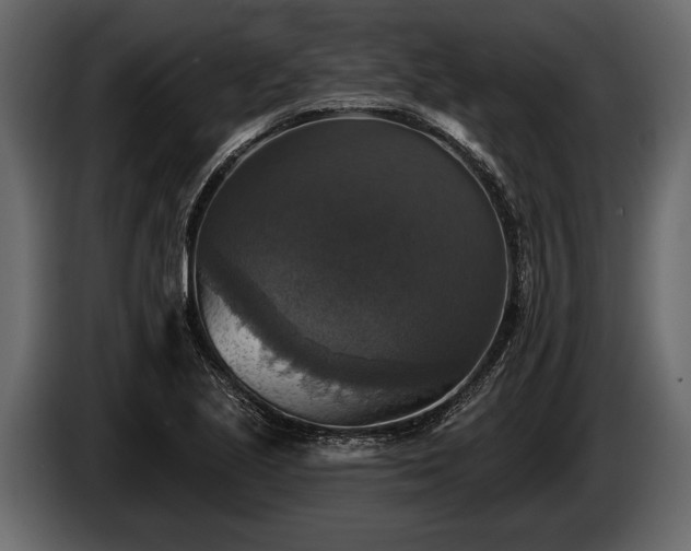 X0000085771221200703231216