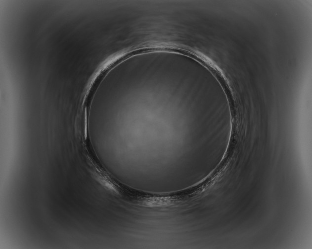 X0000085771223200703231216