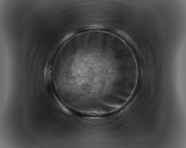 X0000085771225200703231216