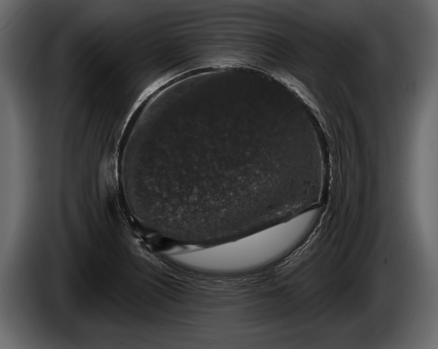 X0000085771226200703231216