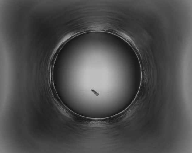 X0000085771227200703231216