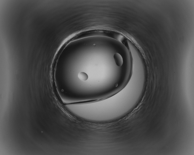 X0000085771230200703231216