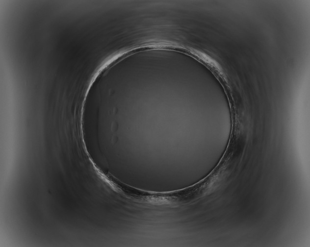 X0000085771231200703231216