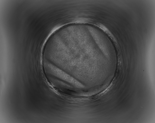 X0000085771232200703231216