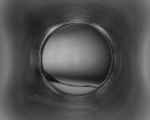 X0000085771238200703231216