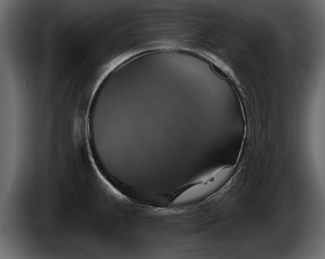 X0000085771239200703231216