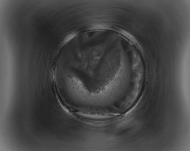 X0000085771241200703231216