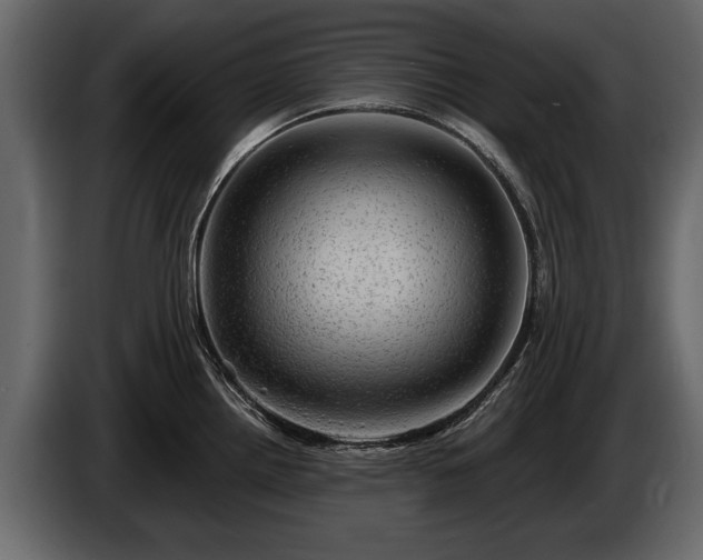 X0000085771242200703231216