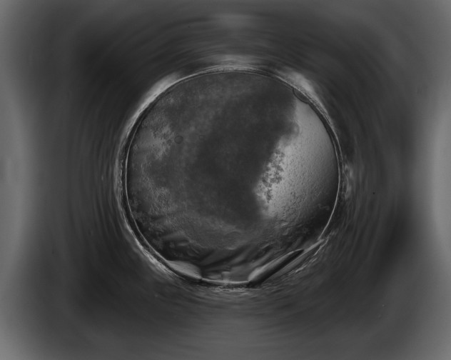 X0000085771243200703231216