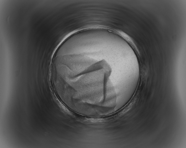 X0000085771244200703231216