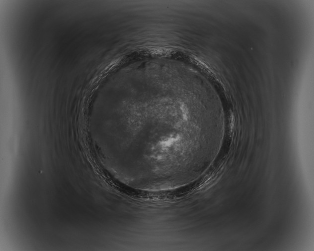 X0000085771249200703231216