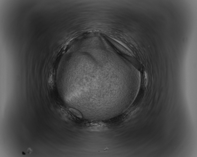 X0000085771250200703231216