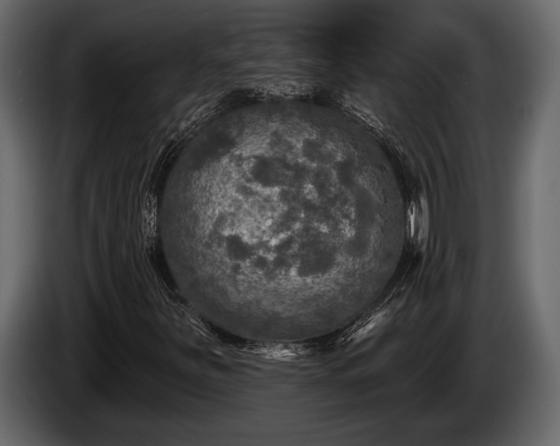 X0000085771251200703231216