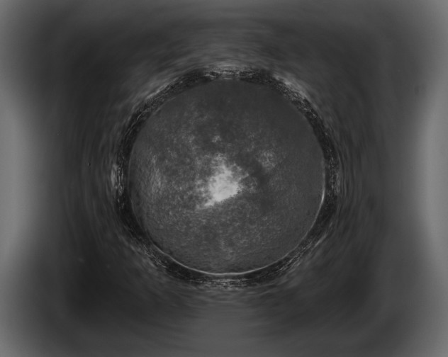 X0000085771253200703231216