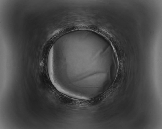 X0000085771254200703231216