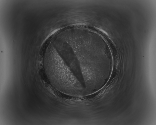 X0000085771255200703231216