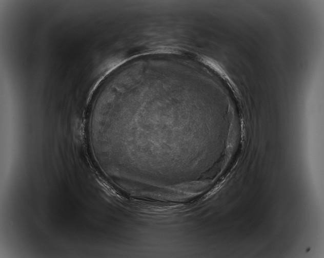 X0000085771260200703231215