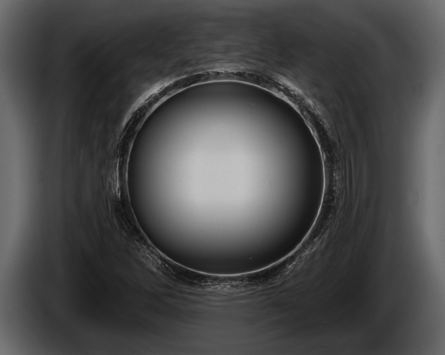 X0000085771262200703231215