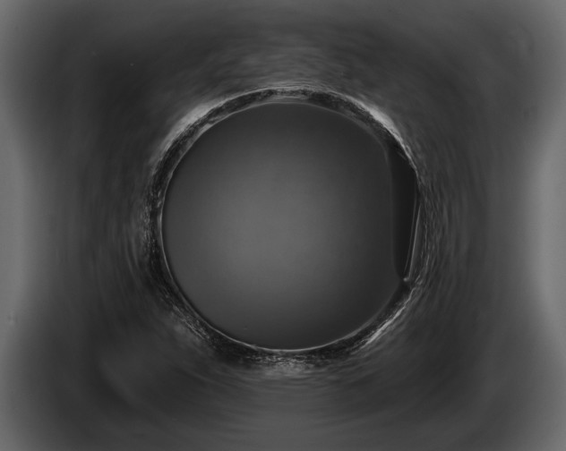 X0000085771263200703231215