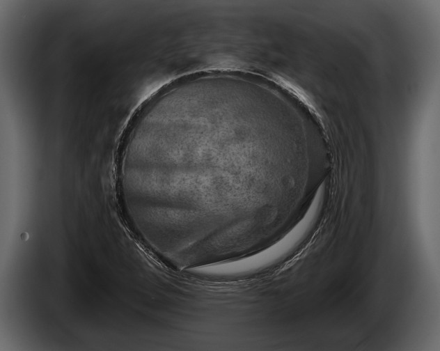 X0000085771264200703231215