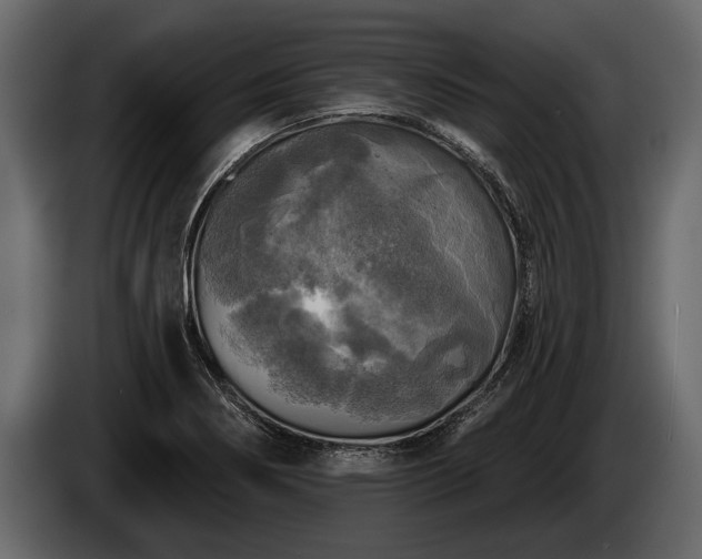 X0000085771274200703231215