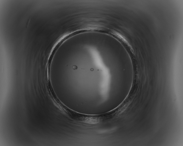 X0000085771275200703231215