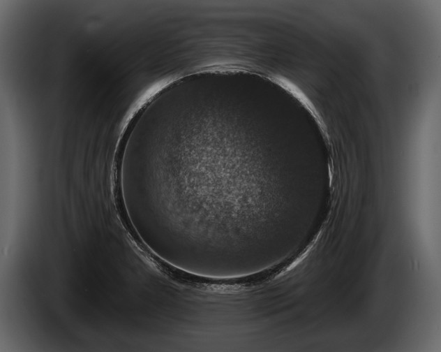 X0000085771277200703231215