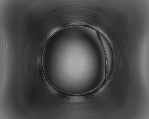 X0000085771281200703231215