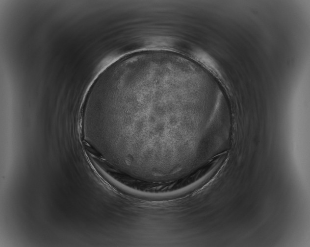 X0000085771284200703231215