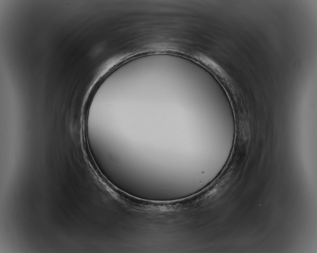 X0000085771286200703231215