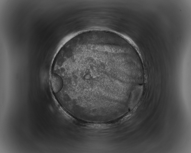 X0000085771287200703231215