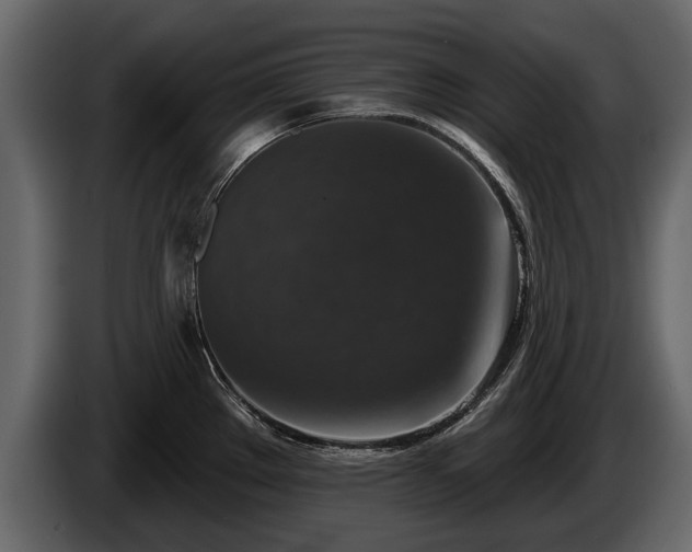 X0000085771289200703231215